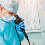 doctors perform an endoscopy
