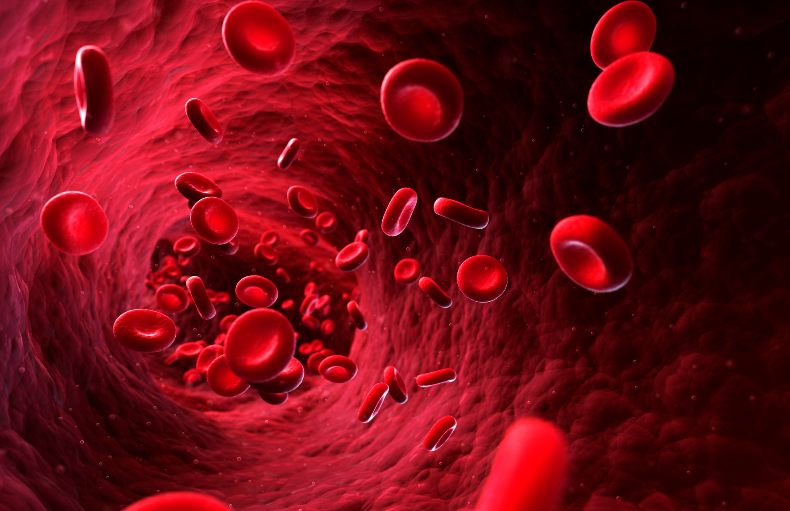 red blood cells